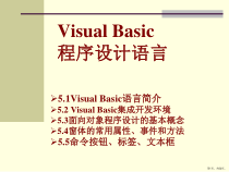 VB程序设计语言课件