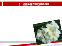 医学心理学感知课件
