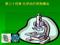 34章-化学治疗药物概论课件