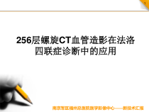 256层螺旋CT血管造影在法洛四联症诊断中的应用-医学课件