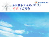 AML中国诊疗指南AML部分V2课件