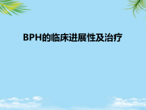 BPH的临床进展性及治疗课件