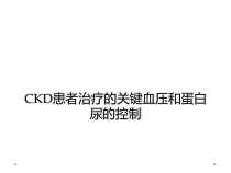 CKD患者治疗的关键血压和蛋白尿的控制课件