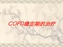 COPD稳定期的治疗培训课件