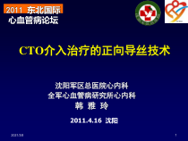 CTO介入治疗的正向导丝技术课件
