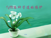 ICU各种管道维护专业医学课件