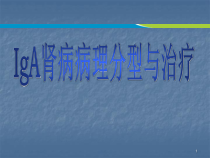 IgAN病理分型与治疗课件