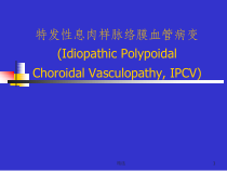 PCV诊断鉴别及其治疗课件_2