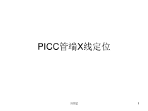 PICC管端X线定位专业医学课件