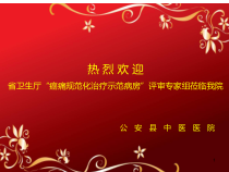 癌痛规范化治疗示范病房创建工作汇报教学课件