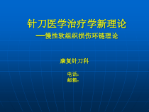 兰州针刀治疗慢性软组织损伤环链理论-课件
