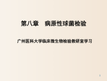 临床微生物实验葡萄球菌属课件