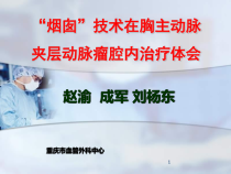 烟囱技术在胸主动脉夹层动脉瘤腔内治疗体会课件