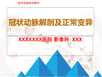 新冠状动脉解剖及正常变异医学讲座培训课件