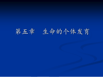 医学生物学教学5生命个体的发育课件