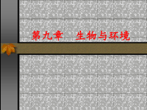 医学生物学教学9生物与环境课件