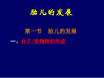 医学胎儿的发展_11842课件