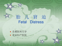 医学胎儿窘迫Fetal-Distress课件