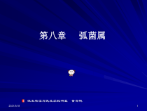 医学微生物学第8章-弧菌属课件
