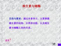 医学维生素与辅酶课件