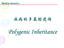 医学遗传学-疾病的多基因遗传课件
