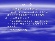 医学正常人体解剖学绪论课件