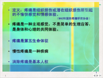 癌痛规范化治疗实践标准课件