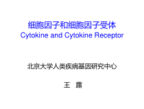 北大医学研究生课程-分子免疫学-细胞因子和细胞因子受体课件