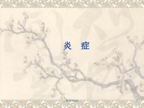 病理学炎症-医学演示文稿课件
