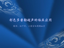 彩色多普勒超声的临床应用课件