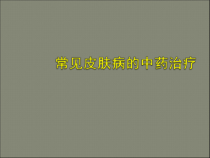 常见皮肤病的中药治疗课件