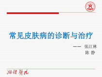 常见皮肤病的诊断与治疗课件