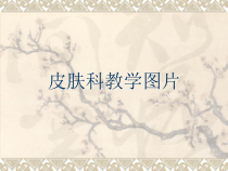 常见皮肤性病与治疗课件