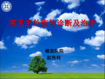 常见手外伤的诊断及治疗课件