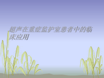 超声在重症监护室患者中的临床应用课件