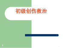 初级创伤救治医学课件