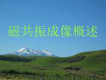 磁共振成像基础知识医学课件