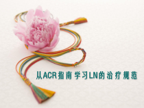 从ACR指南学习LN的治疗规范课件