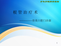 RCT根管治疗课件
