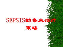 SEPSIS的集束治疗策略培训课件