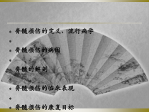 SCI常规治疗及护理课件