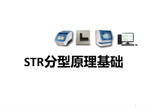 STR分型原理基础医学课件