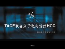 TACE联合靶向治疗课件
