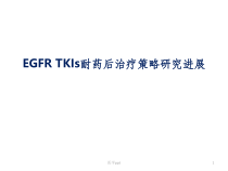 TKI耐药后治疗策略研究进展课件