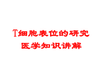 T细胞表位的研究医学知识讲解培训课件