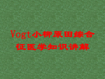 Vogt小柳原田综合征医学知识讲解培训课件
