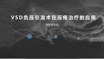 VSD在压疮治疗中应用课件