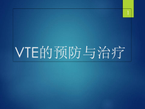 VTE的预防与治疗学习课件