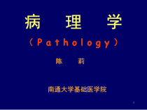 XX大学基础医学院课件