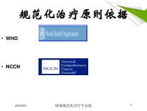 癌痛规范化治疗专业版培训课件
